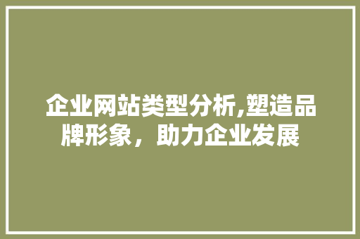 企业网站类型分析,塑造品牌形象，助力企业发展