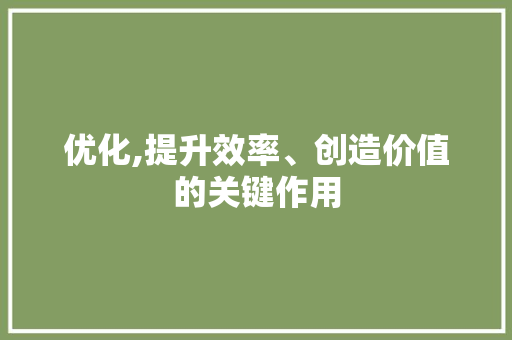优化,提升效率、创造价值的关键作用