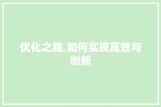优化之路,如何实现高效与创新 优化之路,如何实现高效与创新 搜狗SEO