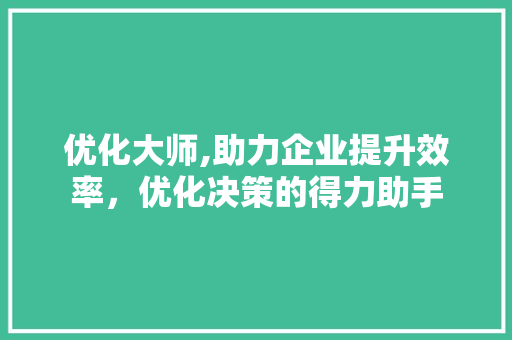 优化大师,助力企业提升效率，优化决策的得力助手