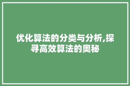 优化算法的分类与分析,探寻高效算法的奥秘
