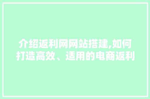介绍返利网网站搭建,如何打造高效、适用的电商返利平台