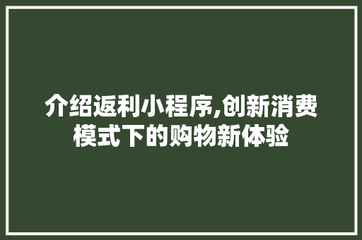介绍返利小程序,创新消费模式下的购物新体验