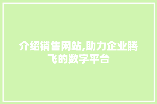 介绍销售网站,助力企业腾飞的数字平台