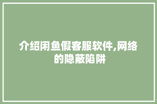 介绍闲鱼假客服软件,网络 的隐蔽陷阱