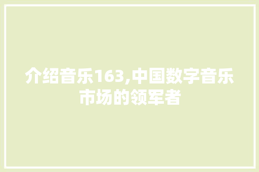介绍音乐163,中国数字音乐市场的领军者