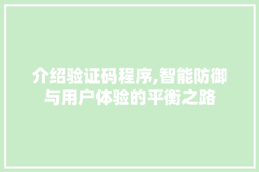 介绍验证码程序,智能防御与用户体验的平衡之路