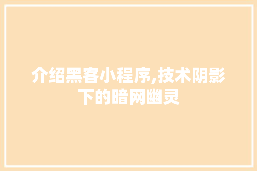 介绍黑客小程序,技术阴影下的暗网幽灵