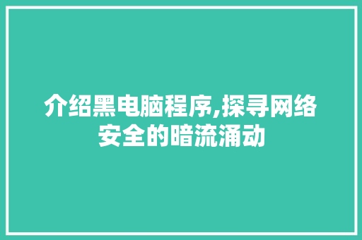 介绍黑电脑程序,探寻网络安全的暗流涌动