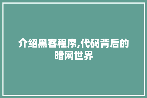 介绍黑客程序,代码背后的暗网世界