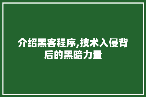 介绍黑客程序,技术入侵背后的黑暗力量 介绍黑客程序,技术入侵背后的黑暗力量 必应SEO