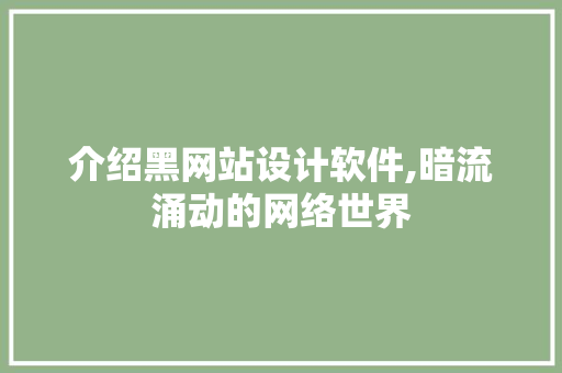 介绍黑网站设计软件,暗流涌动的网络世界