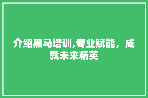 介绍黑马培训,专业赋能，成就未来精英