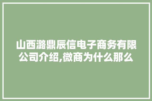 山西潞鼎辰信电子商务有限公司介绍,微商为什么那么有钱。 山西潞鼎辰信电子商务有限公司介绍,微商为什么那么有钱。 百度SEO