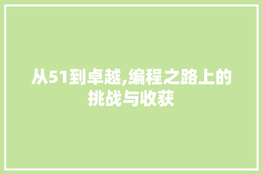 从51到卓越,编程之路上的挑战与收获
