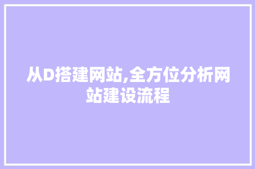 从D搭建网站,全方位分析网站建设流程