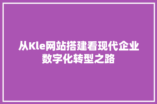 从Kle网站搭建看现代企业数字化转型之路