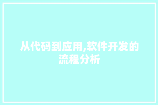 从代码到应用,软件开发的流程分析