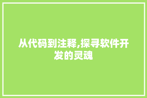 从代码到注释,探寻软件开发的灵魂