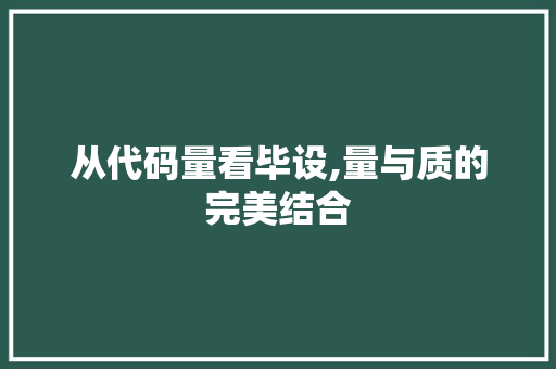 从代码量看毕设,量与质的完美结合