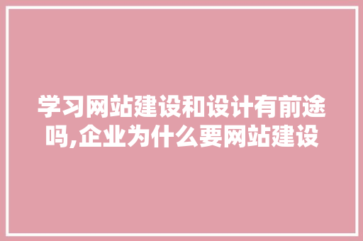 学习网站建设和设计有前途吗,企业为什么要网站建设呢。 百度SEO