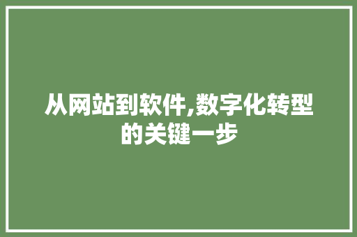 从网站到软件,数字化转型的关键一步 从网站到软件,数字化转型的关键一步 神马SEO