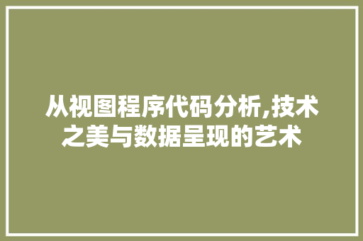 从视图程序代码分析,技术之美与数据呈现的艺术