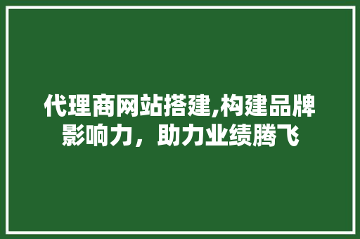 代理商网站搭建,构建品牌影响力，助力业绩腾飞
