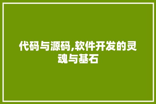 代码与源码,软件开发的灵魂与基石