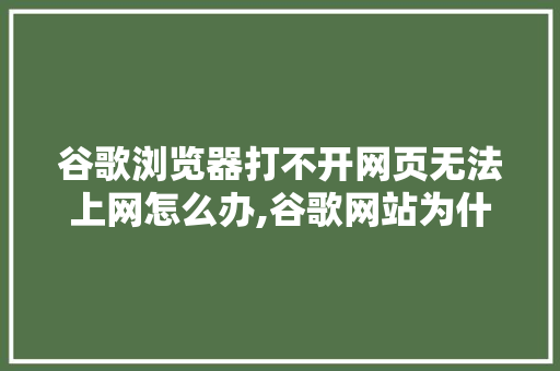 谷歌浏览器打不开网页无法上网怎么办,谷歌网站为什么打不开了。 谷歌浏览器打不开网页无法上网怎么办,谷歌网站为什么打不开了。 神马SEO