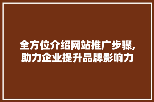 全方位介绍网站推广步骤,助力企业提升品牌影响力 全方位介绍网站推广步骤,助力企业提升品牌影响力 SEO关键词