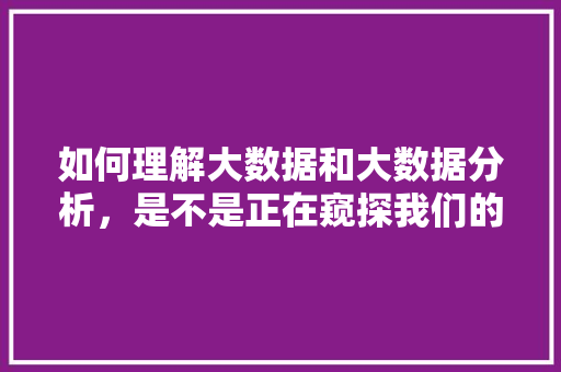 如何理解大数据和大数据分析，是不是正在窥探我们的隐私,为什么要分析网站数据呢。 如何理解大数据和大数据分析，是不是正在窥探我们的隐私,为什么要分析网站数据呢。 神马SEO