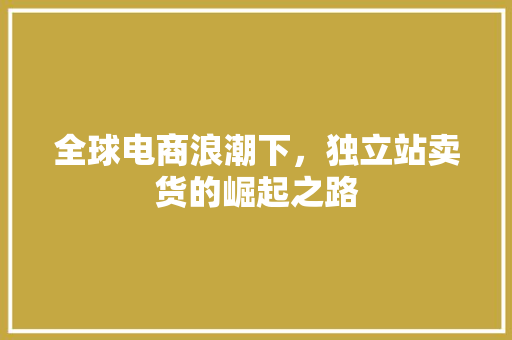 全球电商浪潮下，独立站卖货的崛起之路