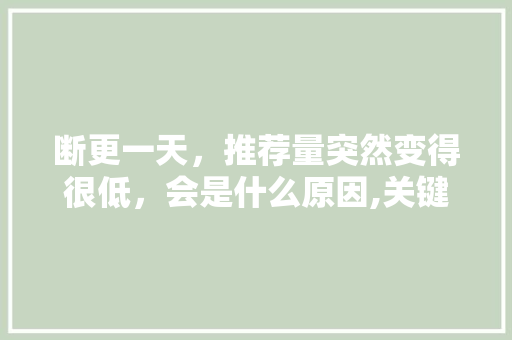 断更一天，推荐量突然变得很低，会是什么原因,关键词为什么掉了很多。 断更一天，推荐量突然变得很低，会是什么原因,关键词为什么掉了很多。 百度SEO