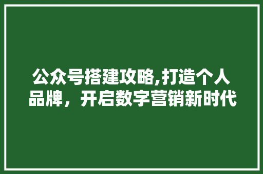 公众号搭建攻略,打造个人品牌，开启数字营销新时代 公众号搭建攻略,打造个人品牌，开启数字营销新时代 必应SEO