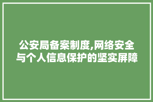公安局备案制度,网络安全与个人信息保护的坚实屏障