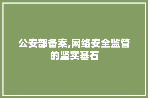 公安部备案,网络安全监管的坚实基石