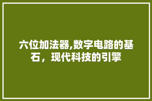 六位加法器,数字电路的基石，现代科技的引擎
