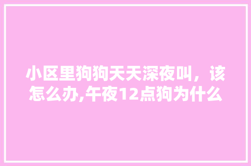 小区里狗狗天天深夜叫，该怎么办,午夜12点狗为什么会叫呢。
