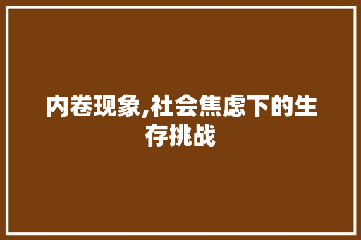 内卷现象,社会焦虑下的生存挑战