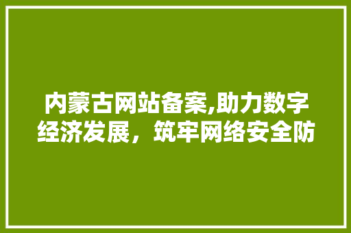 内蒙古网站备案,助力数字经济发展，筑牢网络安全防线 内蒙古网站备案,助力数字经济发展，筑牢网络安全防线 百度SEO