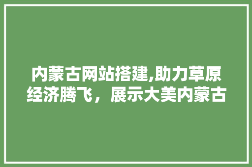 内蒙古网站搭建,助力草原经济腾飞，展示大美内蒙古