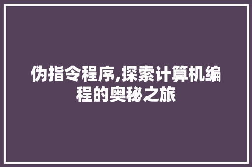 伪指令程序,探索计算机编程的奥秘之旅