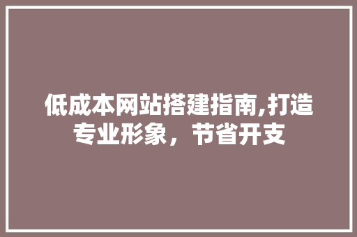 低成本网站搭建指南,打造专业形象，节省开支