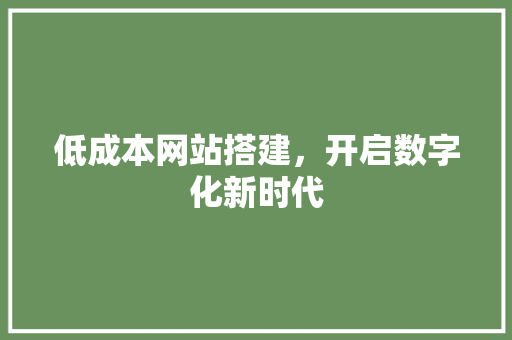 低成本网站搭建，开启数字化新时代