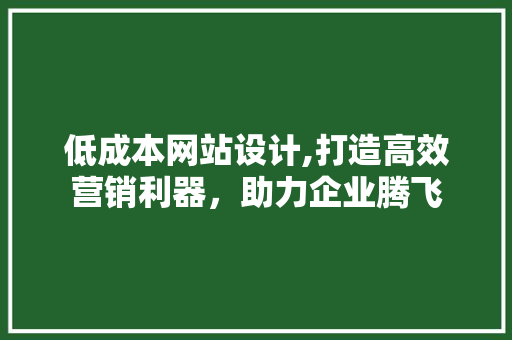 低成本网站设计,打造高效营销利器，助力企业腾飞