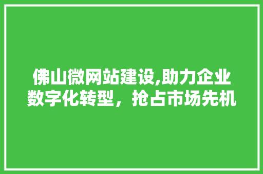 佛山微网站建设,助力企业数字化转型，抢占市场先机