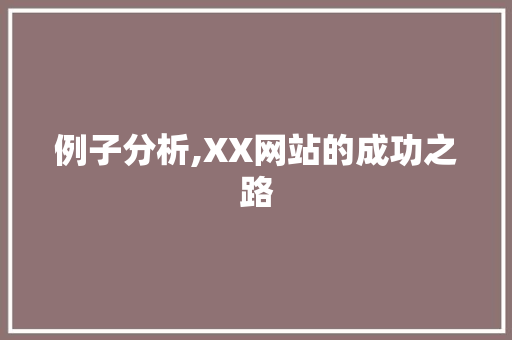 例子分析,XX网站的成功之路