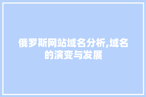 俄罗斯网站域名分析,域名的演变与发展