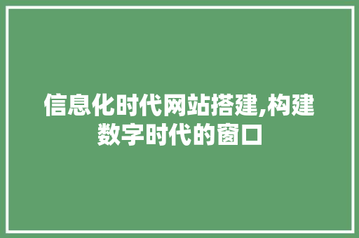 信息化时代网站搭建,构建数字时代的窗口